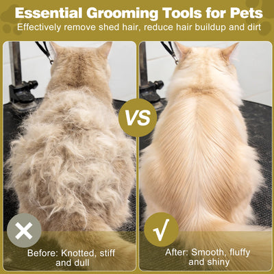 Brosse à Poils en Bois pour Chien