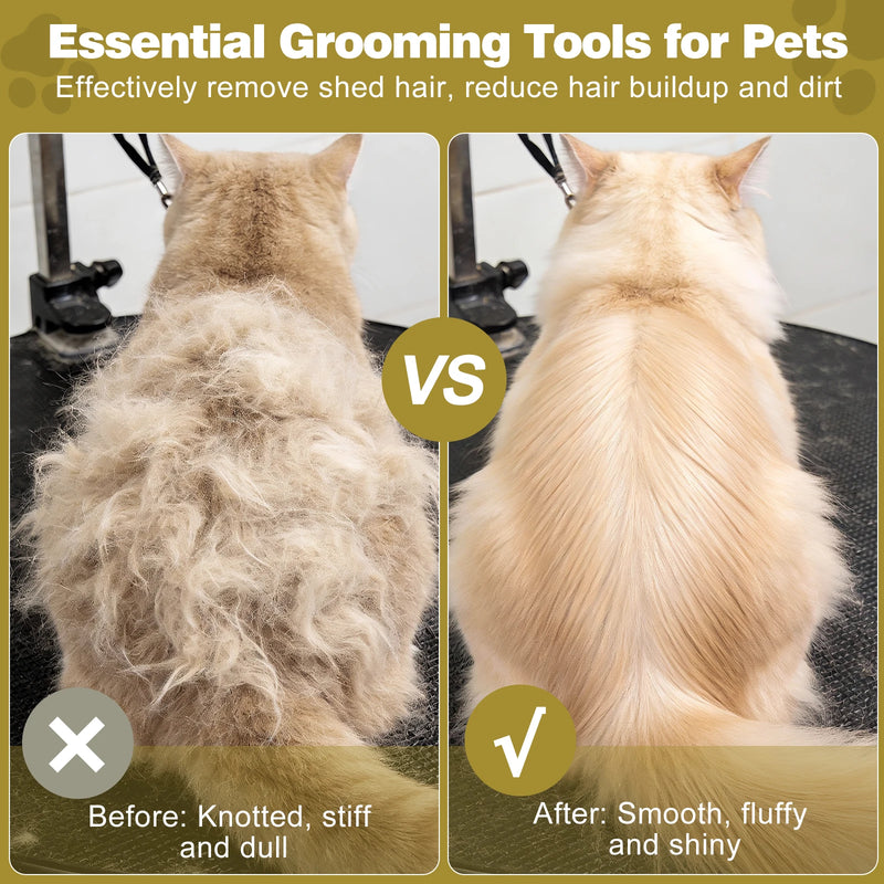 Brosse à Poils en Bois pour Chien