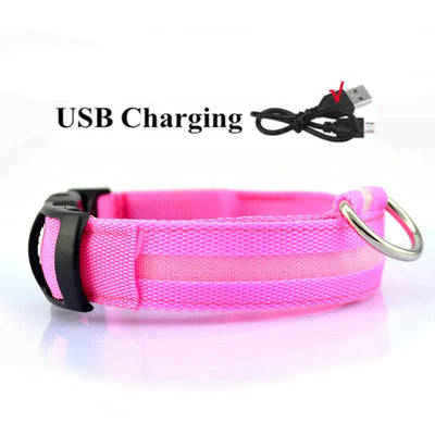 Collier LED Haute Visibilité Rechargeable Chien