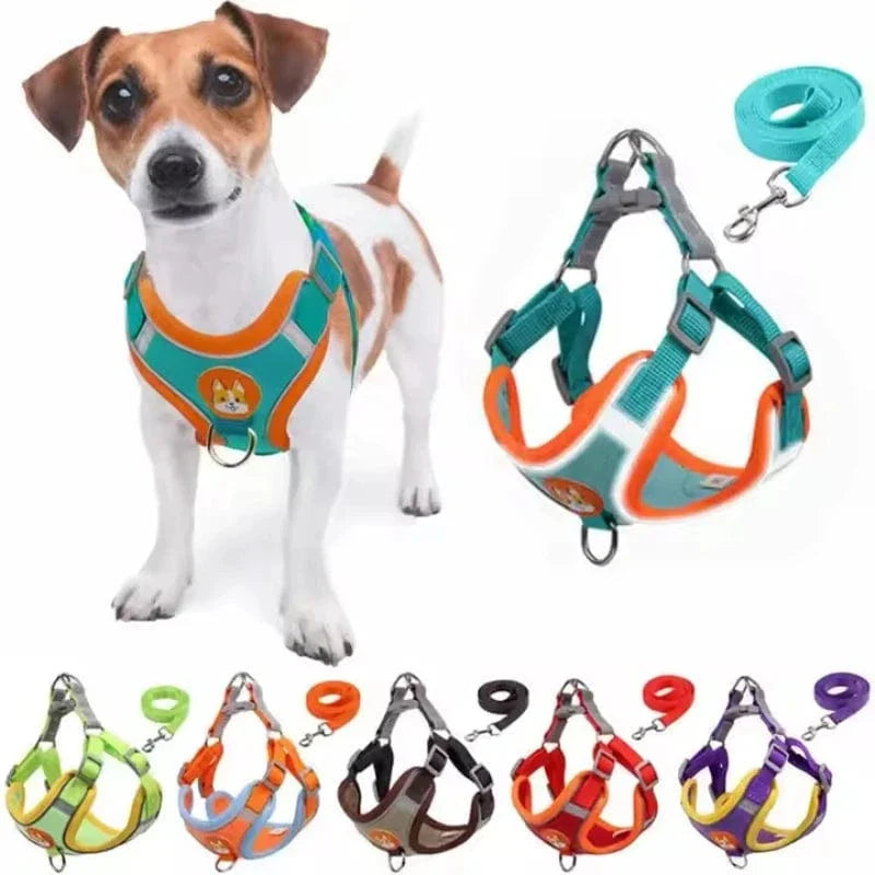 https://cdn.shopify.com/s/files/1/0489/2898/1148/files/Sc8e87dc2669349acb9874fa71e8f66a9R.webp?v=1742913866