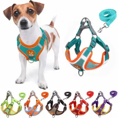 https://cdn.shopify.com/s/files/1/0489/2898/1148/files/Sc8e87dc2669349acb9874fa71e8f66a9R.webp?v=1742913866