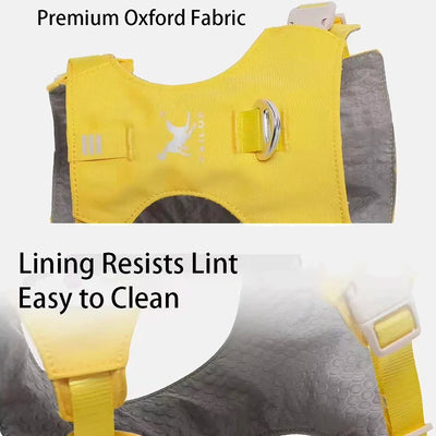 Ensemble Harnais et Laisse Assortis Anti-Traction Chien