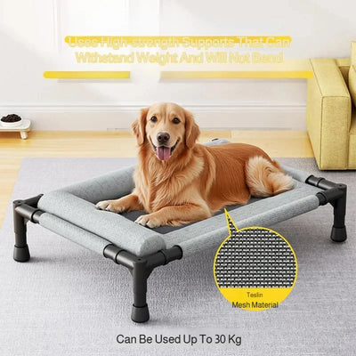 Lit Surélevé pour Chien Bords Rembourrés Toile Aérée jusqu'à 30 kg
