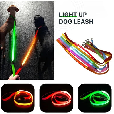 Laisse LED Corde Lumineuse pour Chien
