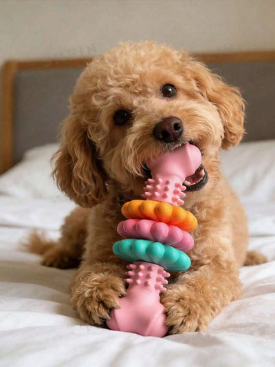 Jouet Indestructible Os à Anneaux Colorés à Mâcher Chien