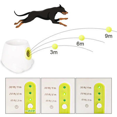 Lanceur de Balle Chien Automatique sur Secteur 3 Distances