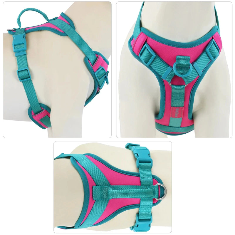 https://cdn.shopify.com/s/files/1/0489/2898/1148/files/Sf7f76c4e2d2b4e7285f700f3ca30feb7S.webp?v=1742913868