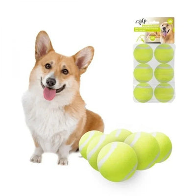 Lanceur de Balle Automatique Chien Mini Rechargeable USB-C