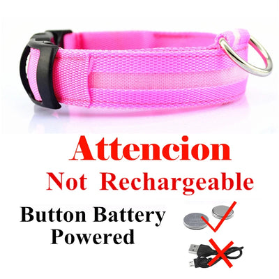 Collier Lumineux LED USB pour Chien