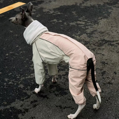 Combinaison Imperméable 4 Pattes Polaire pour Lévrier Italien
