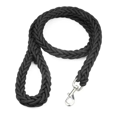 https://cdn.shopify.com/s/files/1/0489/2898/1148/files/Scb470ae1b63641689fa372a347ea66d1A.webp?v=1742978361