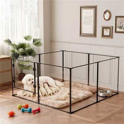 Enclos Acrylique Transparent Grand Chien 122x122 cm