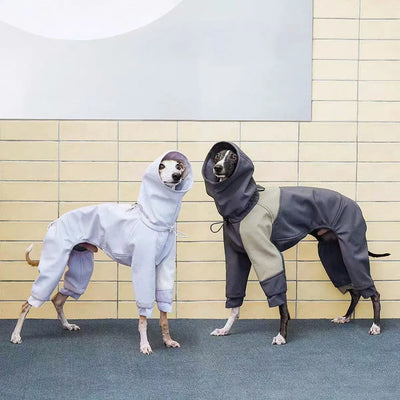 Manteau Intégral 4 Pattes à Capuche Lévrier Whippet