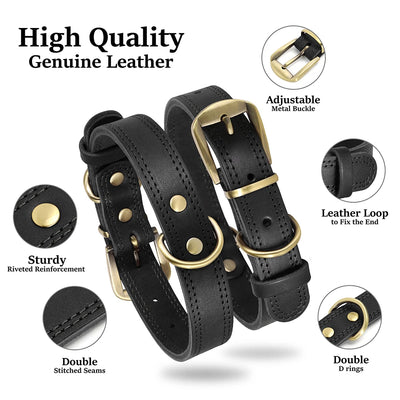 Collier Cuir Véritable Double Anneau Boucle Laiton Pitbull Chien