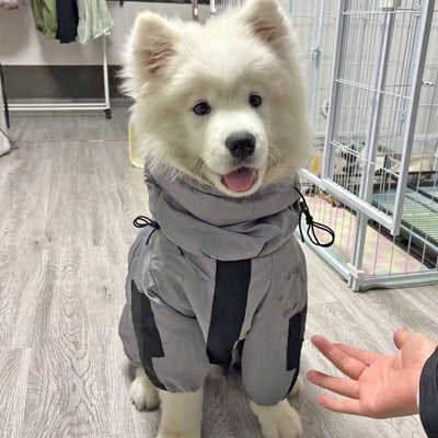 Combinaison Imperméable Réfléchissante Grand Chien 3XL-6XL