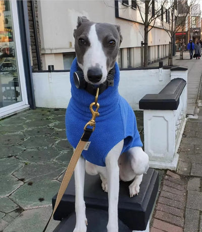 Pull Polaire Col Roulé Lévrier Whippet Italien