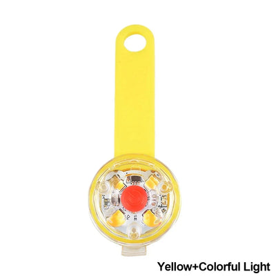 Collier Lumineux LED Securite Rechargeable Chien