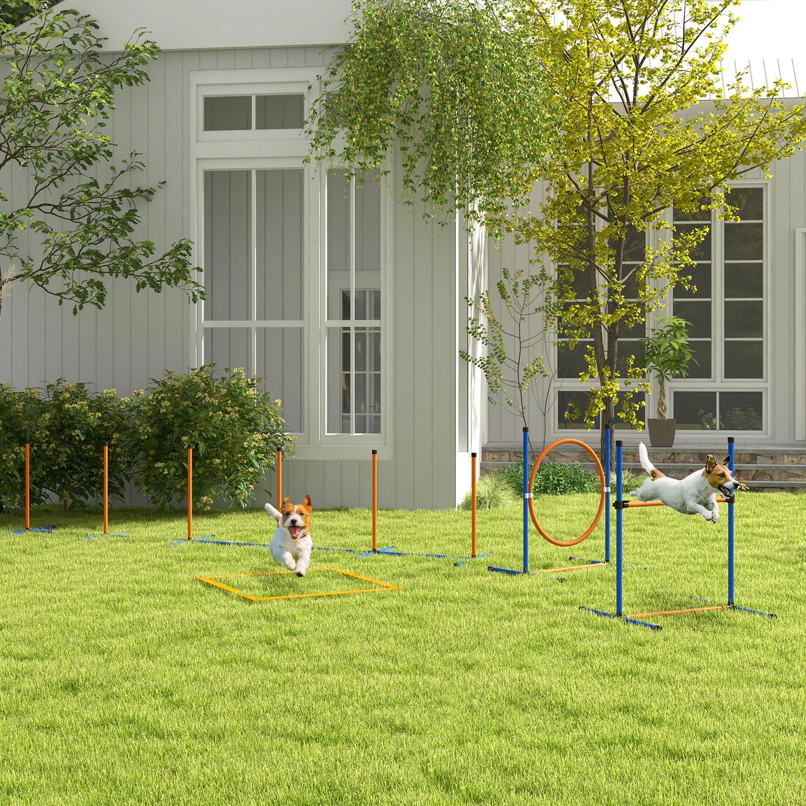 Kit d'Agility Chien PawHut 4 Pièces Orange et Bleu