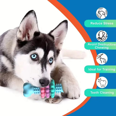 Jouet Indestructible Os à Anneaux Colorés à Mâcher Chien
