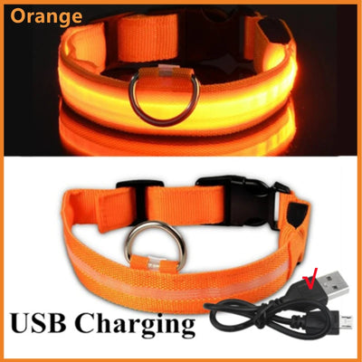 Collier Lumineux LED Rechargeable USB Nylon Grand Chien