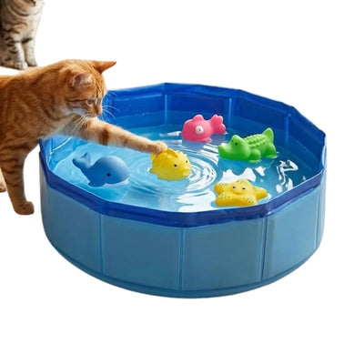 Mini Piscine pour Chien Pliable 30 cm Rince-Pattes