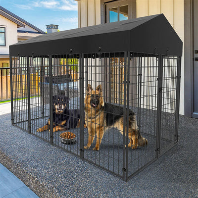 Enclos Chien Grillage Soudé avec Toit pour Extérieur