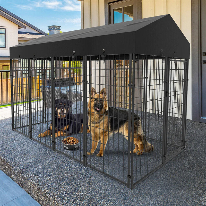 Enclos Chien Grillage Soudé avec Toit pour Extérieur