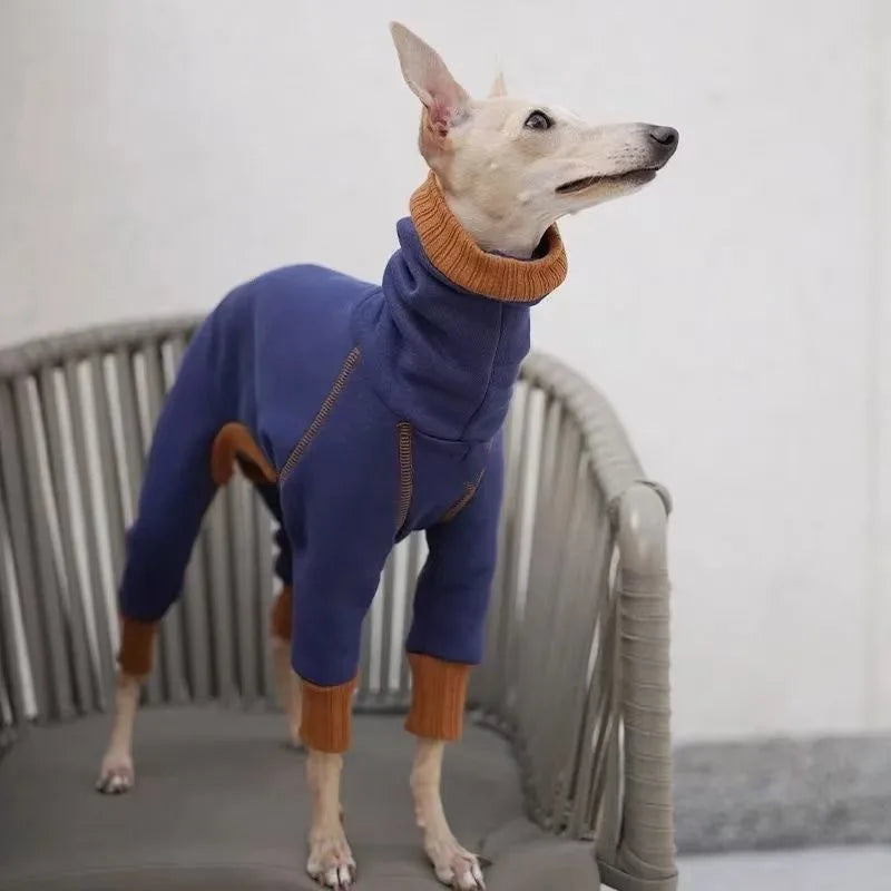 Pyjama Polaire Col Haut 4 Pattes Gros Chien