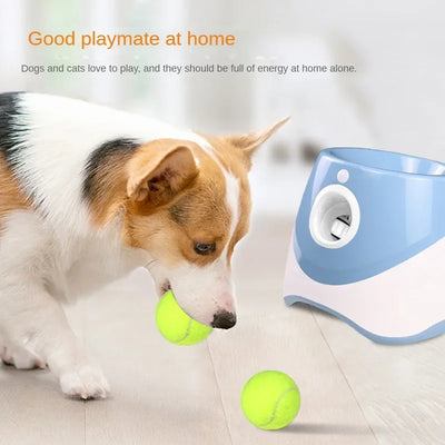 Lanceur de Balle de Tennis Chien Capteur de Mouvement Rechargeable