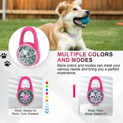 Lumière LED Rechargeable pour Collier de Chien