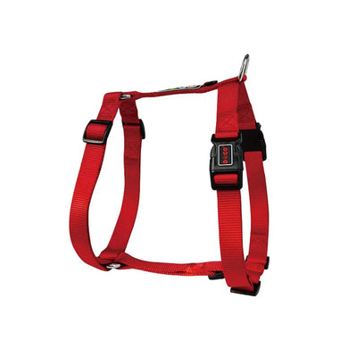 Harnais Chien en H Nylon Réglable Moyen et Grand