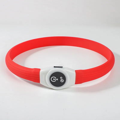 Collier LED Étanche Grand Chien