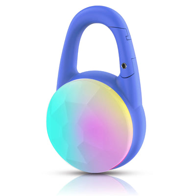 Lumière LED Rechargeable pour Collier de Chien