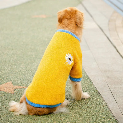 Manteau Sherpa Damier Grande Taille Gros Chien