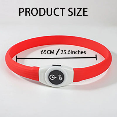 Collier LED Étanche USB pour Chien