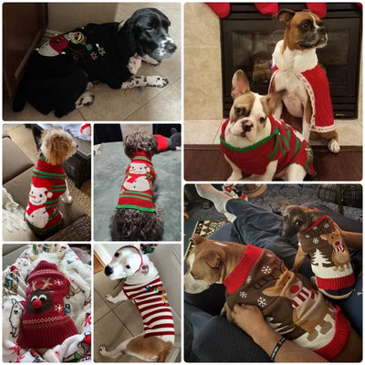 Pull de Noël Col Roulé Petit et Moyen Chien