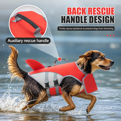 Gilet de sauvetage pour chien XXL - Gros-Chien.com