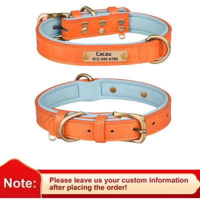 Collier Cuir Personnalisé Gravure Gros Chien