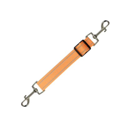 Collier Chien Réfléchissant Sécurité Clip 360°