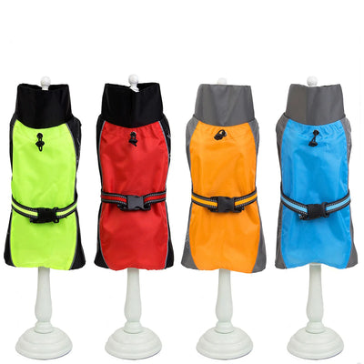 Manteau Imperméable Sport Bicolore Golden Retriever du S au 9XL