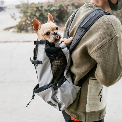 Sac à Dos de Transport Chien Réglable jusqu'à 28 kg