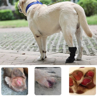 Botte Récupération Pattes Gros Chien Imperméable