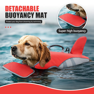 Gilet de sauvetage pour chien XXL - Gros-Chien.com