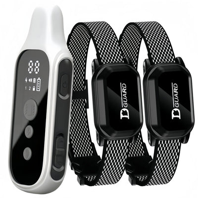 Collier Dressage Numérique LCD Gros Chien 800m