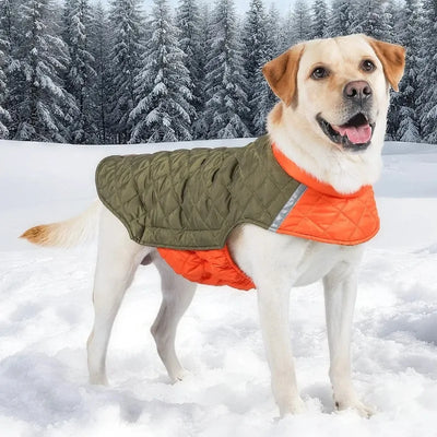Manteau Imperméable Réfléchissant Hiver pour Gros Chien