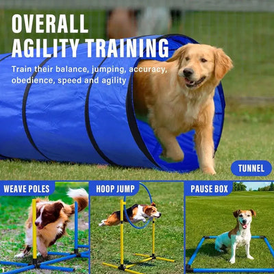 Tunnel d'Agility Pliable pour Chien 180 et 300 cm