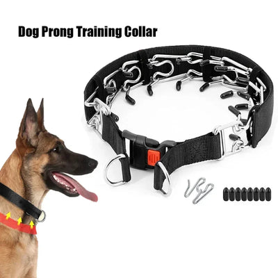 Collier à Pointes Éducation Boucle Rapide Nylon Chien