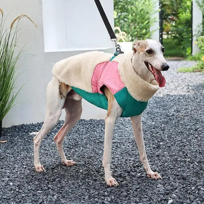 Manteau Chien Hiver Polaire d'Agneau Coupe-Vent Anneau en D