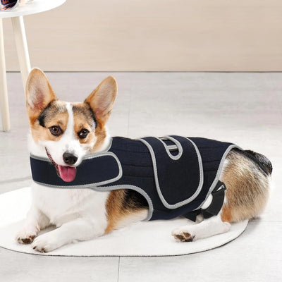 Attelle Dorsale Orthopédique Réglable pour Gros Chien