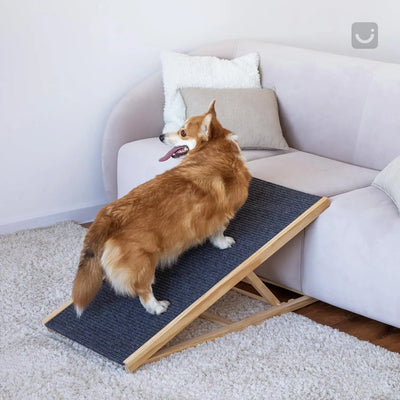 Rampe pour Chien Bois Réglable Pliable Antidérapante 45 kg